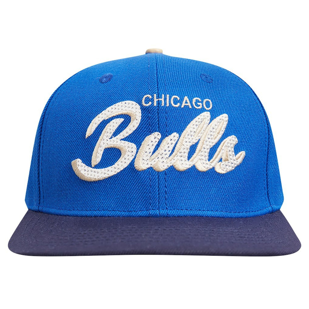 NBA Chicago Bulls Pro Standard Legacy Snapback Hat