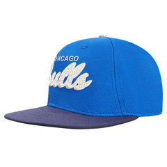 NBA Chicago Bulls Pro Standard Legacy Snapback Hat