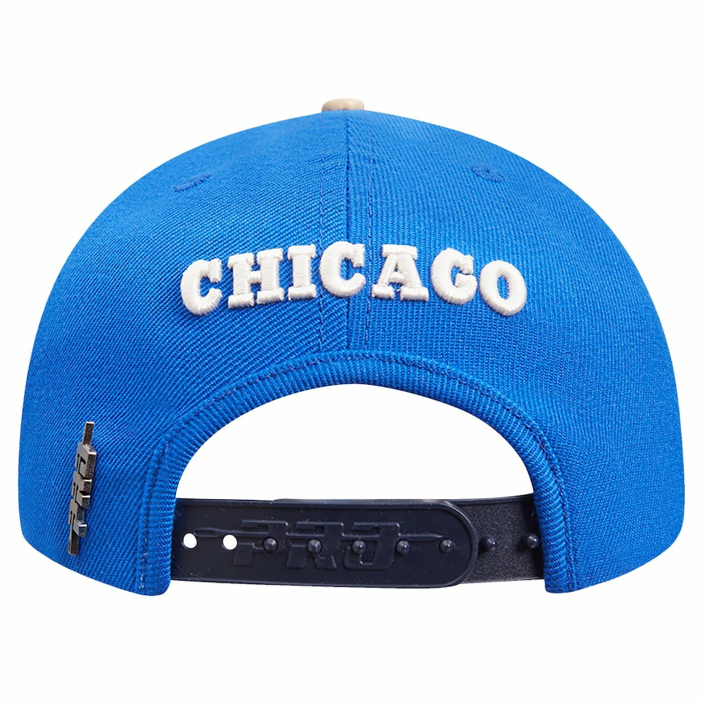 NBA Chicago Bulls Pro Standard Legacy Snapback Hat