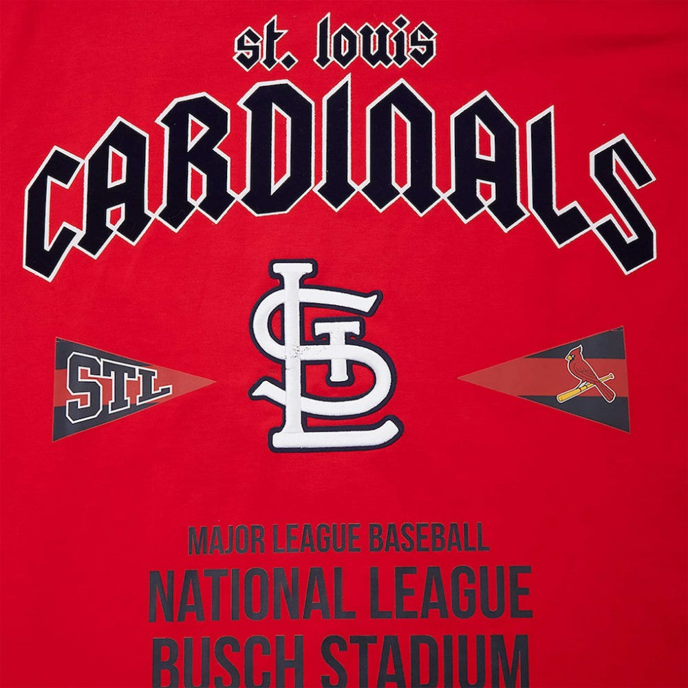 MLB St. Louis Cardinals Pro Standard Oversized City Tour T-Shirt