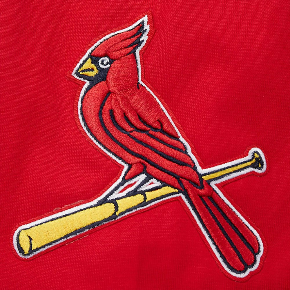 MLB St. Louis Cardinals Pro Standard Oversized City Tour T-Shirt
