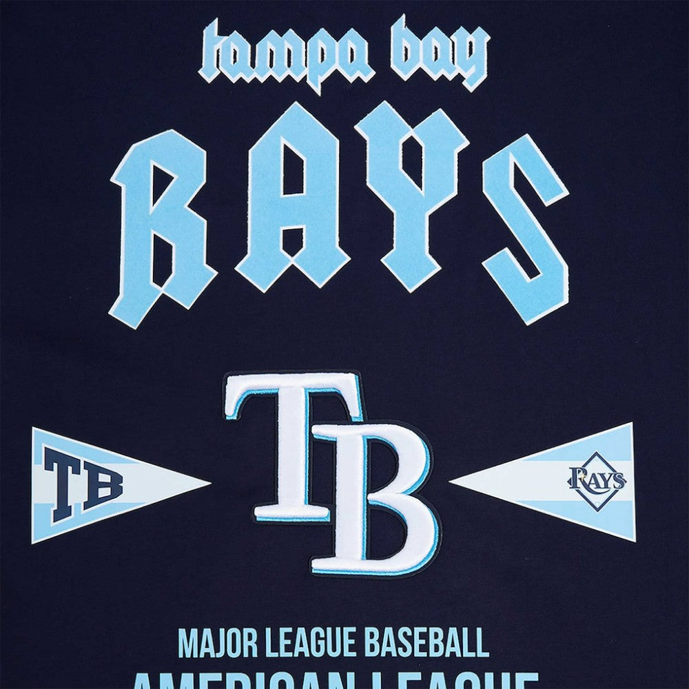 MLB Tampa Bay Rays Pro Standard Oversized City Tour T-Shirt