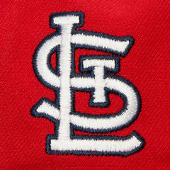 MLB St. Louis Cardinals Mitchell & Ness Team Tagged Snapback Hat