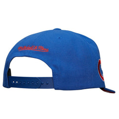 MLB Chicago Cubs Mitchell & Ness Team Tagged Snapback Hat
