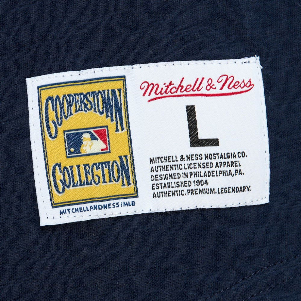 MLB St. Louis Cardinals Mitchell & Ness Cooperstown Collection Legendary Raglan Slub Henley Three-Quarter Sleeve T-Shirt