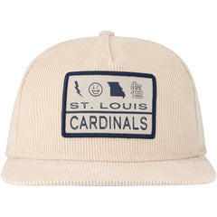 MLB St. Louis Cardinals New Era Summer Essential Golfer Snapback Hat
