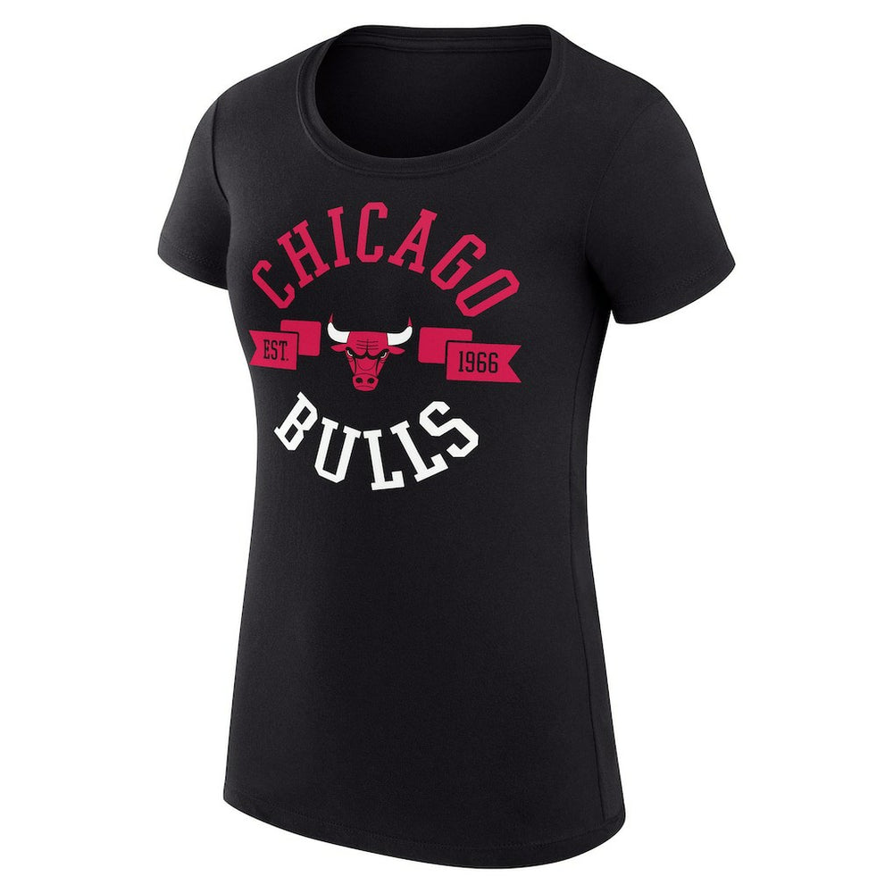 NBA Chicago Bulls G-III 4Her by Carl Banks Women's Super-Slim Fit Lightweight Large City Logo T-Shirt sale