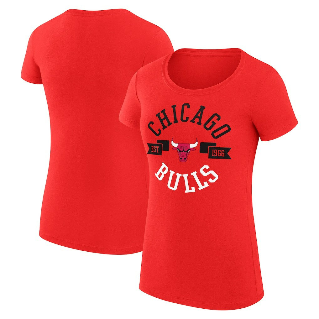 NBA Chicago Bulls G-III 4Her by Carl Banks Women's Super-Slim Fit Lightweight Large City Logo T-Shirt sale