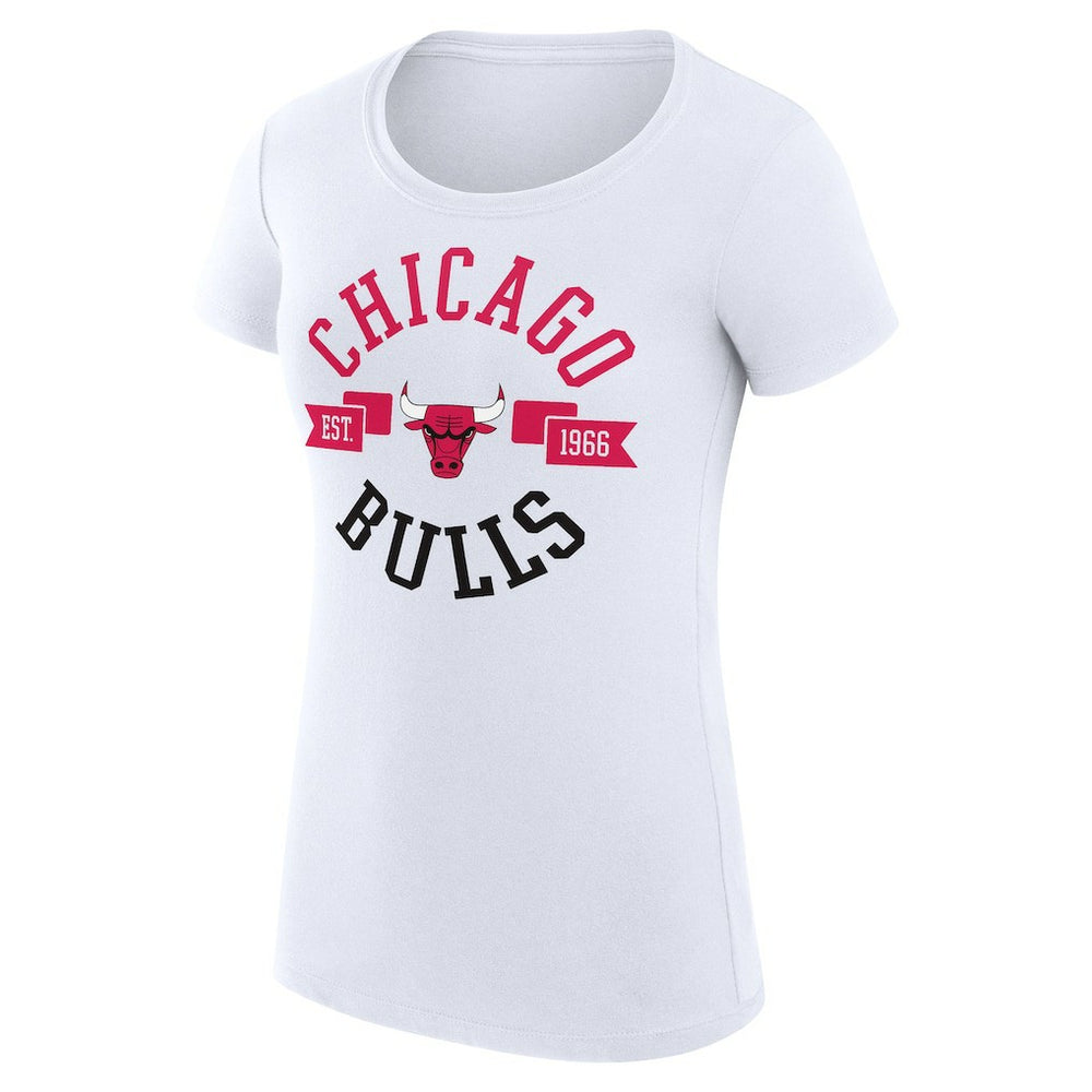 NBA Chicago Bulls G-III 4Her by Carl Banks Women's Super-Slim Fit Lightweight Large City Logo T-Shirt sale