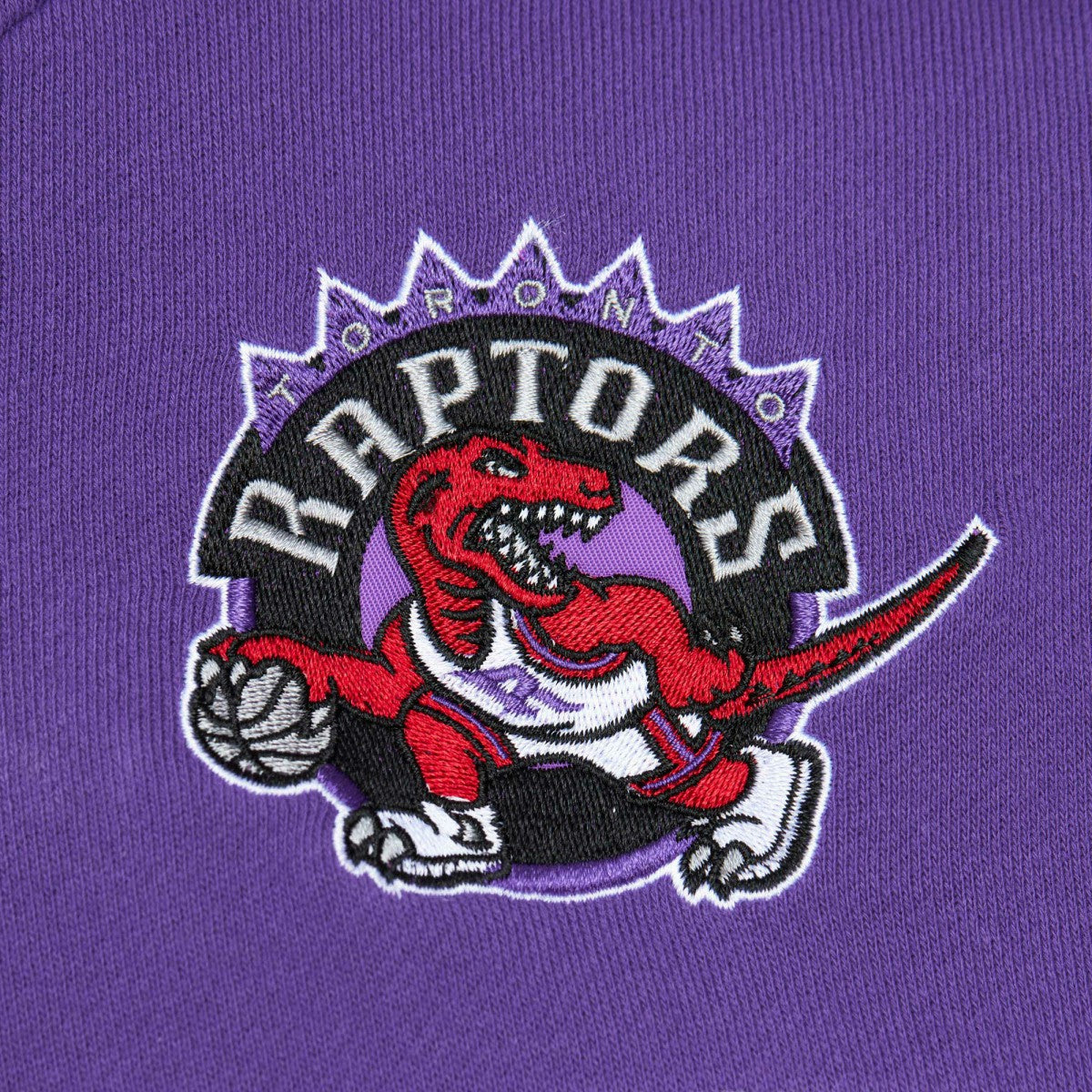 NBA Toronto Raptors Head Coach Pullover Hoodie