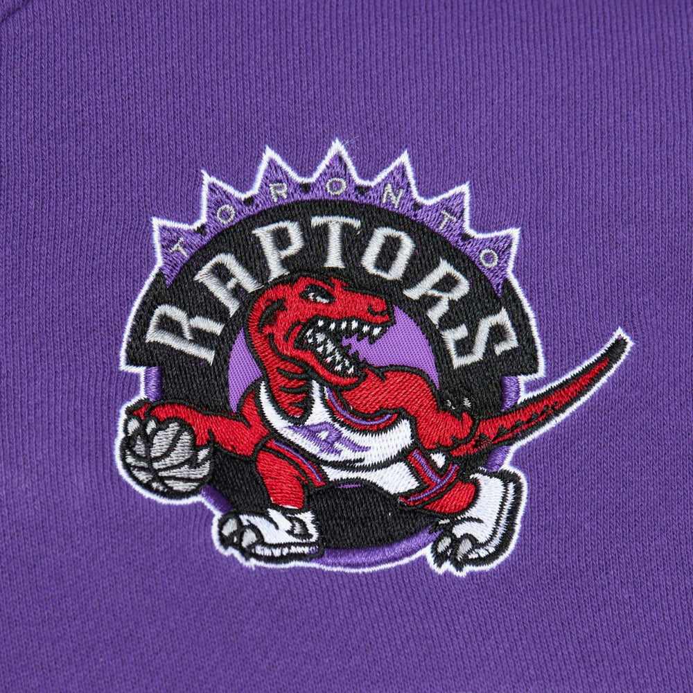 NBA Toronto Raptors Head Coach Pullover Hoodie