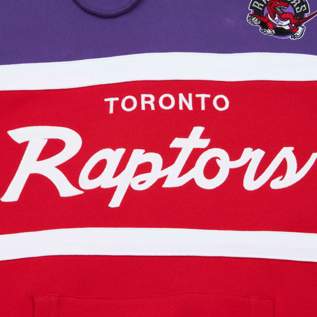 NBA Toronto Raptors Head Coach Pullover Hoodie