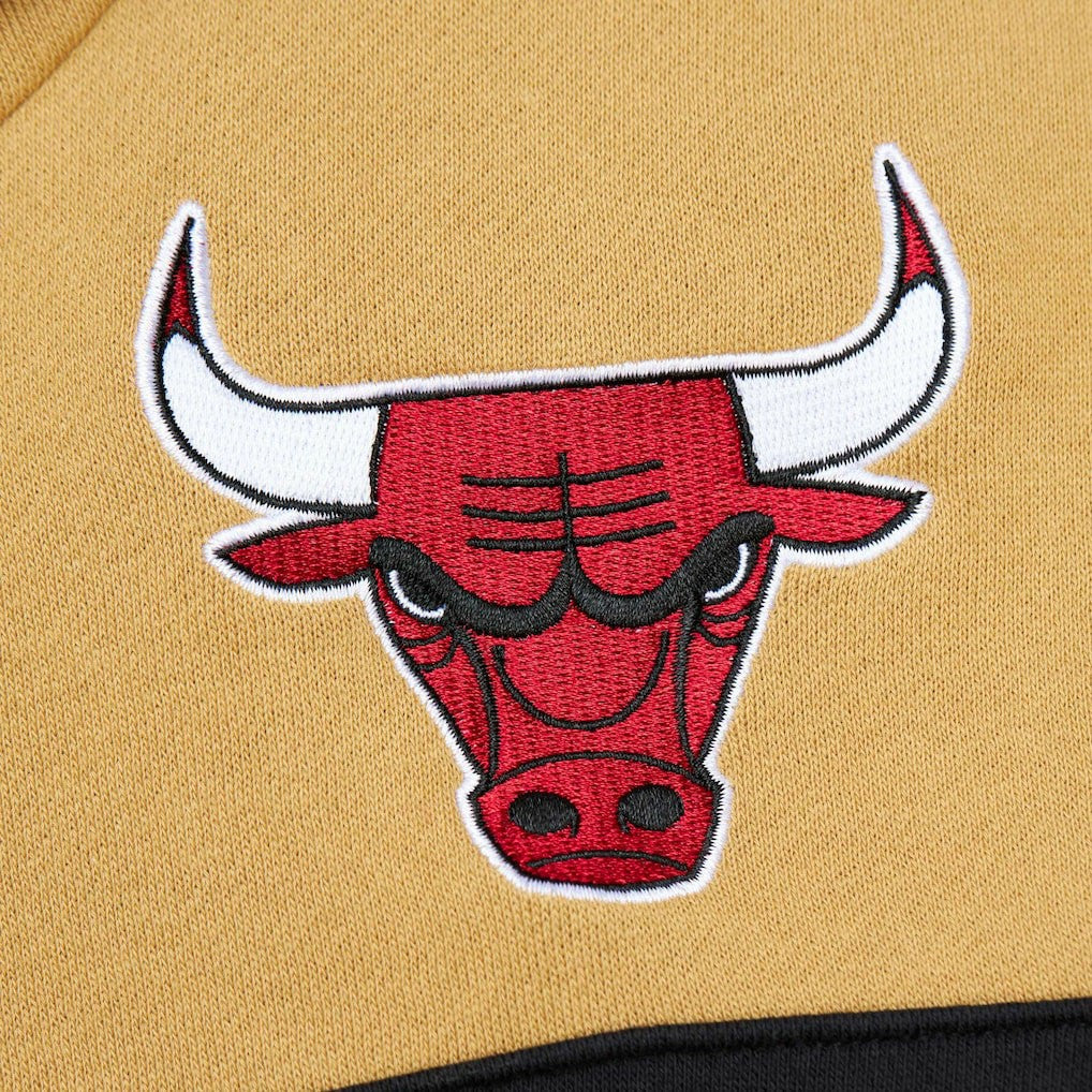 NBA Chicago Bulls Head Coach Pullover Hoodie