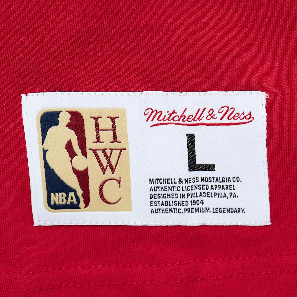 NBA Atlanta Hawks Hardwood Classics Team OG 2.0 Premium Vintage Logo T-Shirt