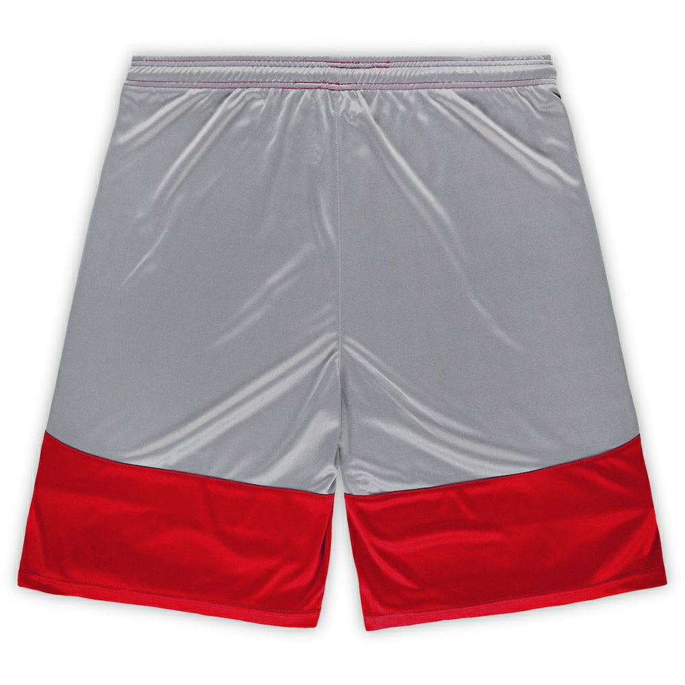 Big & Tall Team Logo Shorts - San Francisco 49ers
