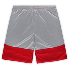 Big & Tall Team Logo Shorts - San Francisco 49ers