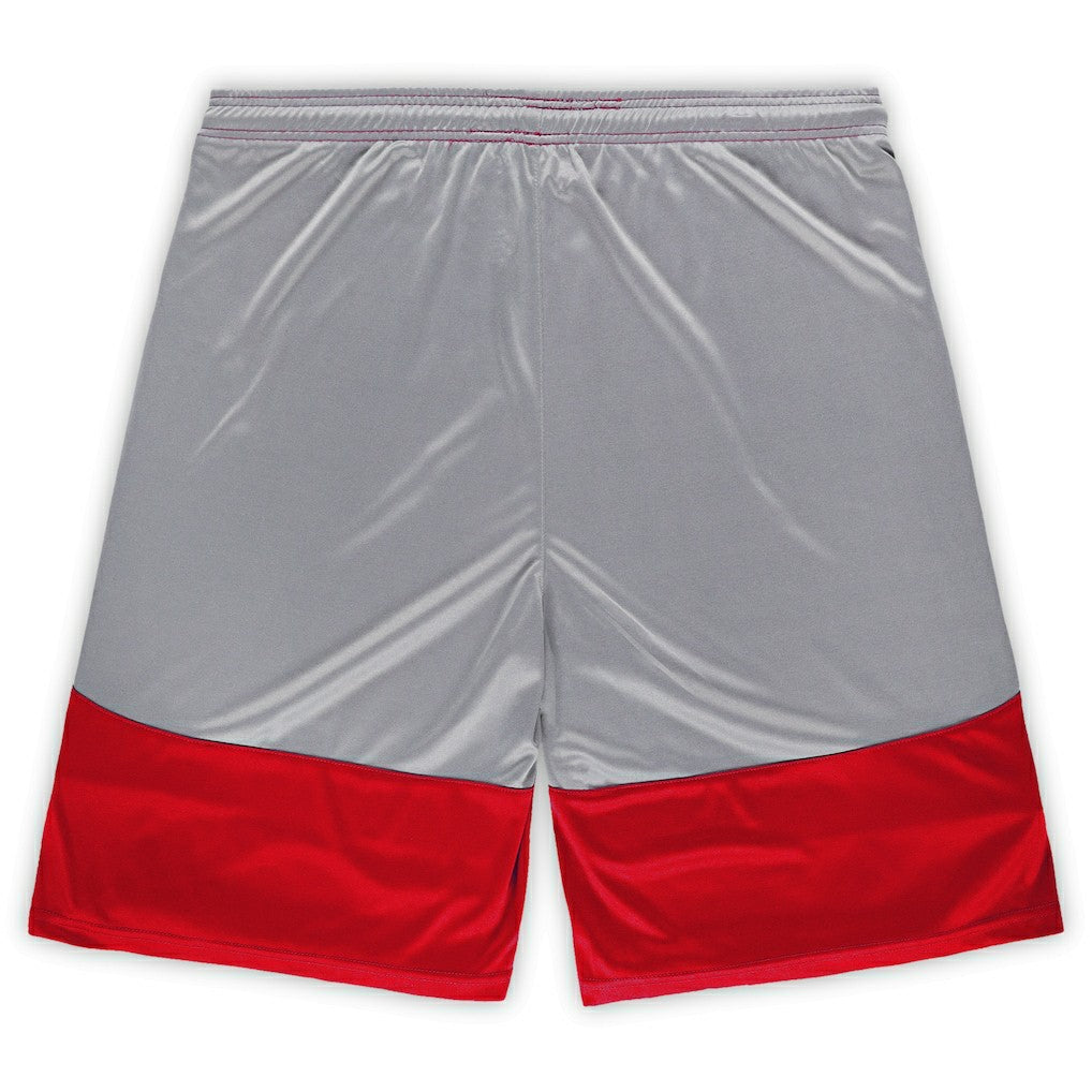 Big & Tall Team Logo Shorts - Arizona Cardinals