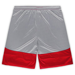 Big & Tall Team Logo Shorts - Arizona Cardinals
