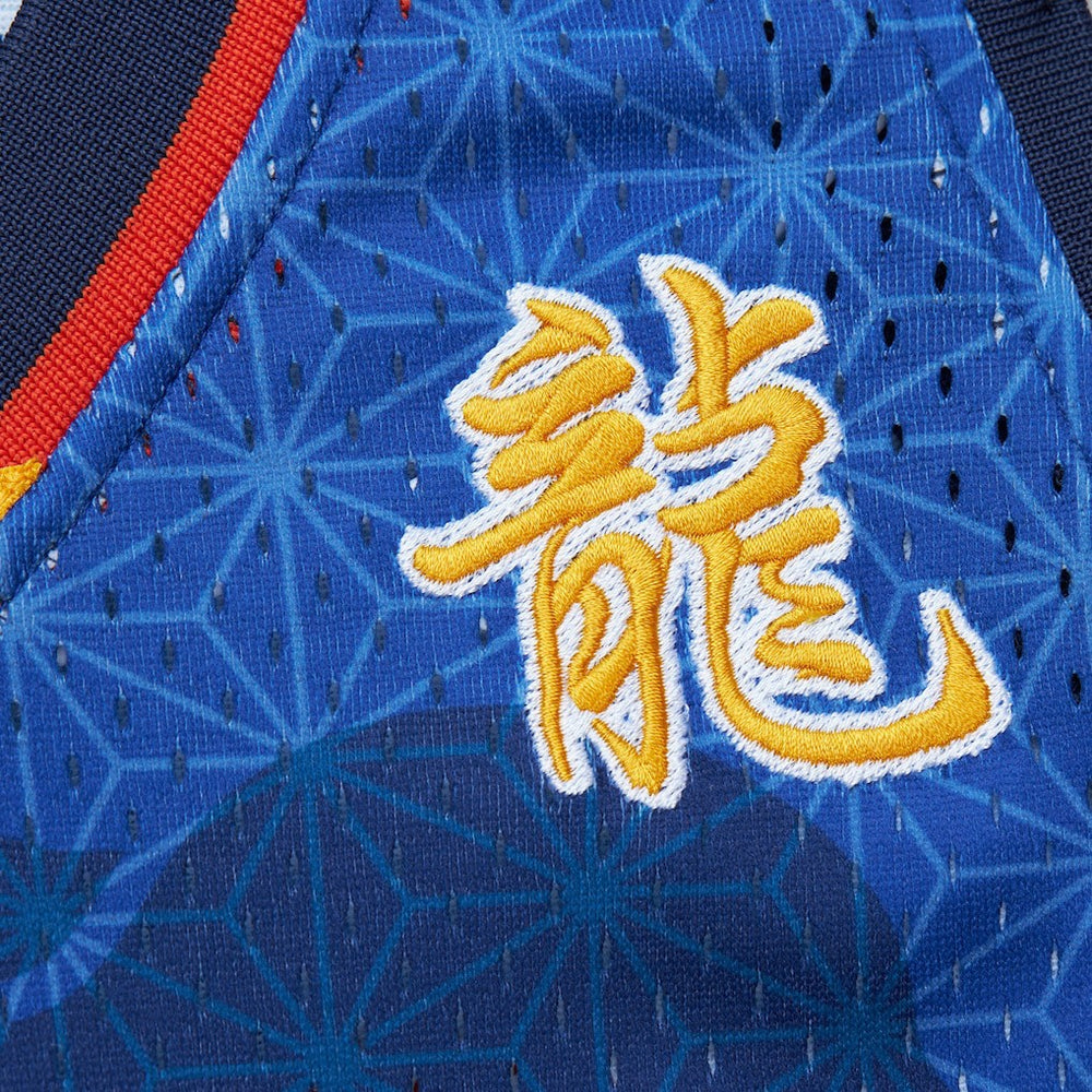 NBA Baron Davis Golden State Warriors 2006/07 Hardwood Classics Asian Heritage 6.0 Swingman Throwback Player Jersey sale