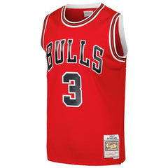 NBA Dwyane Wade Chicago Bulls 2016/17 Hardwood Classics Swingman Jersey sale