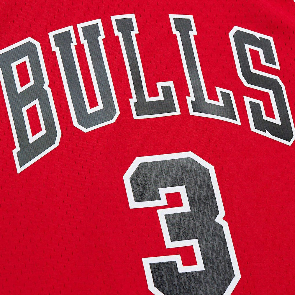 NBA Dwyane Wade Chicago Bulls 2016/17 Hardwood Classics Swingman Jersey sale