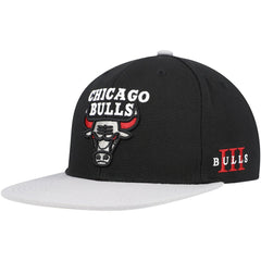 NBA Chicago Bulls Core Snapback Hat
