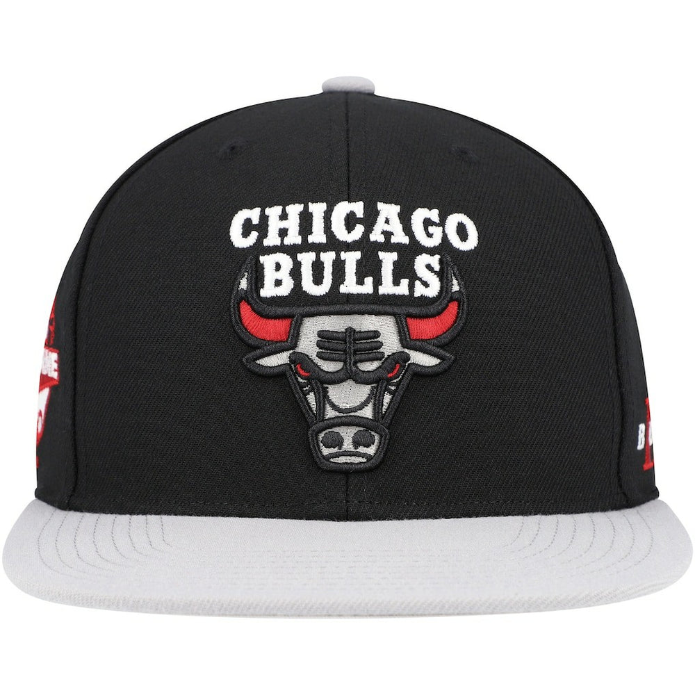 NBA Chicago Bulls Core Snapback Hat