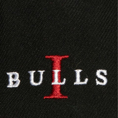NBA Chicago Bulls Core Snapback Hat