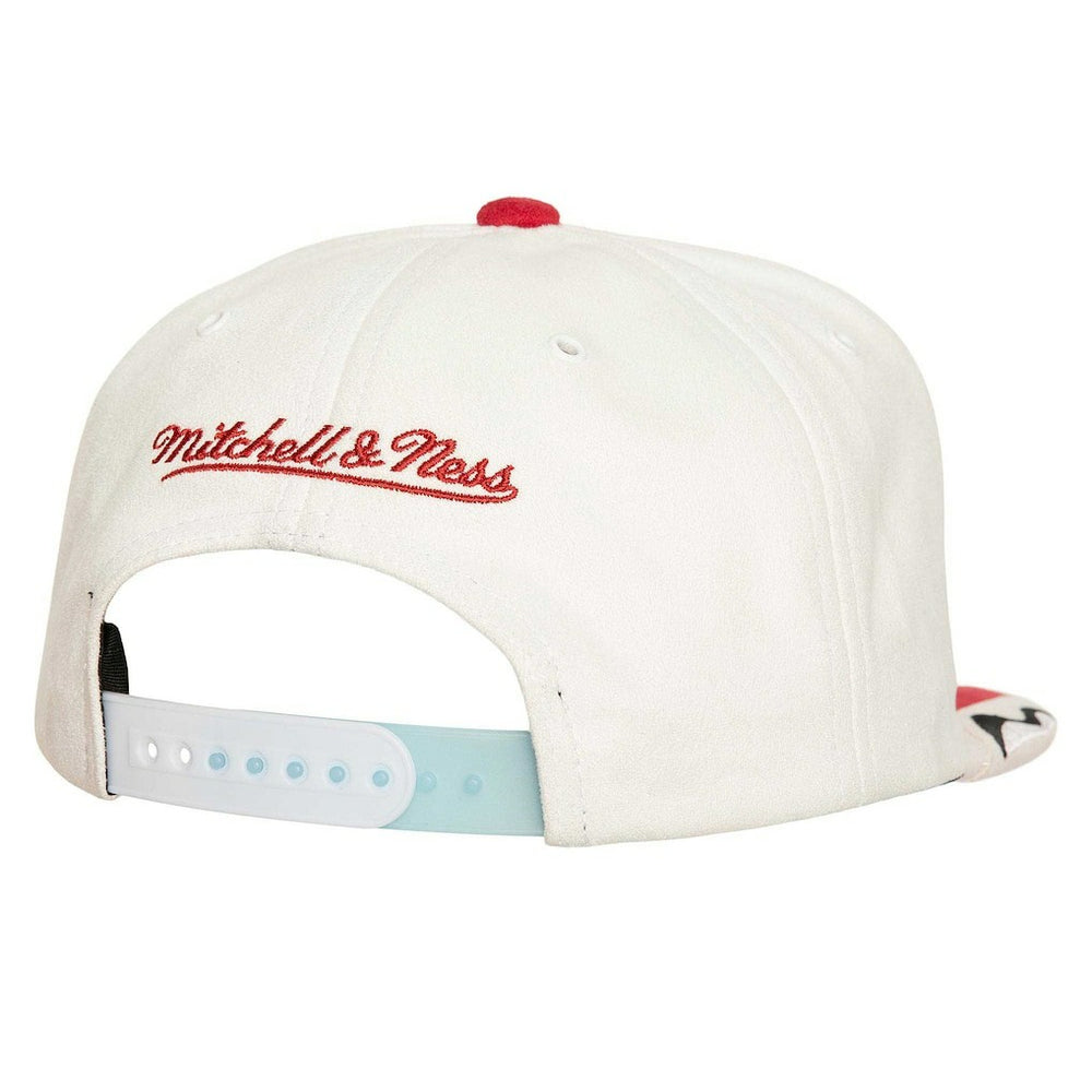 NBA Chicago Bulls Day 6 Snapback Hat