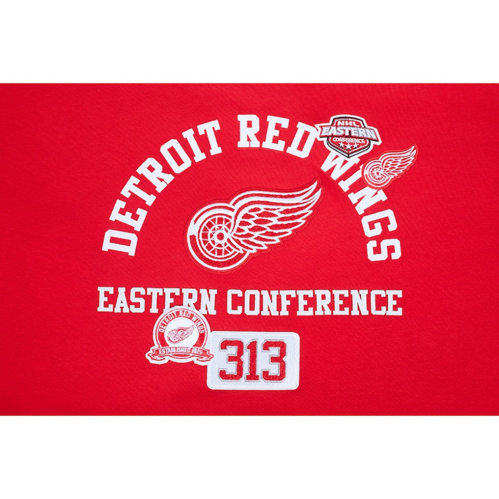 NHL Red Detroit Red Wings Pro Standard Women's Area Code Cropped Pullover Sweatshirt