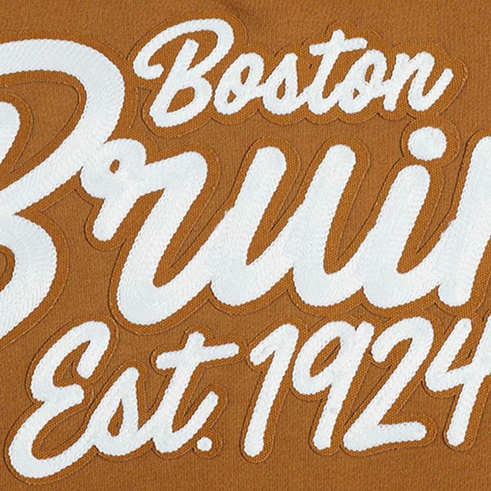 NHL Brown Boston Bruins Pro Standard Paint the City Pullover Sweatshirt