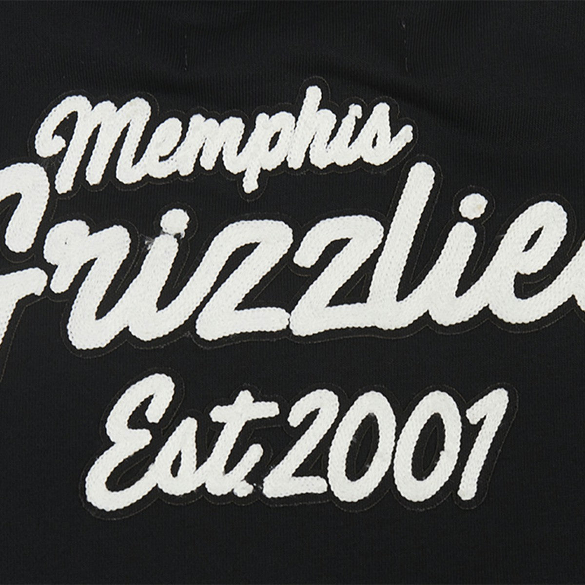 NBA Memphis Grizzlies Pro Standard Women's Paint The City Cropped Pullover Sweatshirt