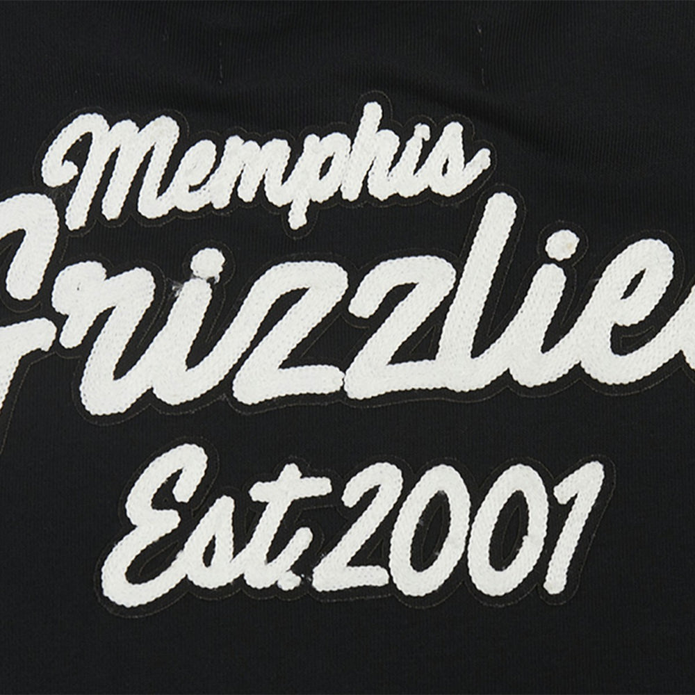NBA Memphis Grizzlies Pro Standard Women's Paint The City Cropped Pullover Sweatshirt