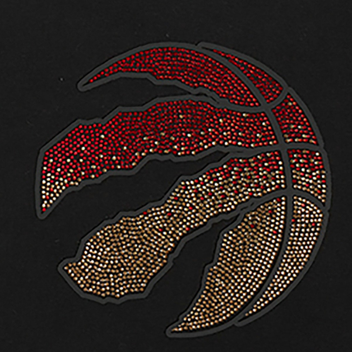NBA Toronto Raptors Pro Standard Women's Jewels Boxy Cropped T-Shirt