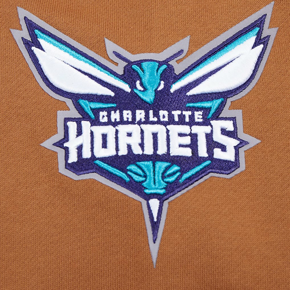 NBA Charlotte Hornets Pro Standard Paint the City Drop Shoulder Pullover Hoodie