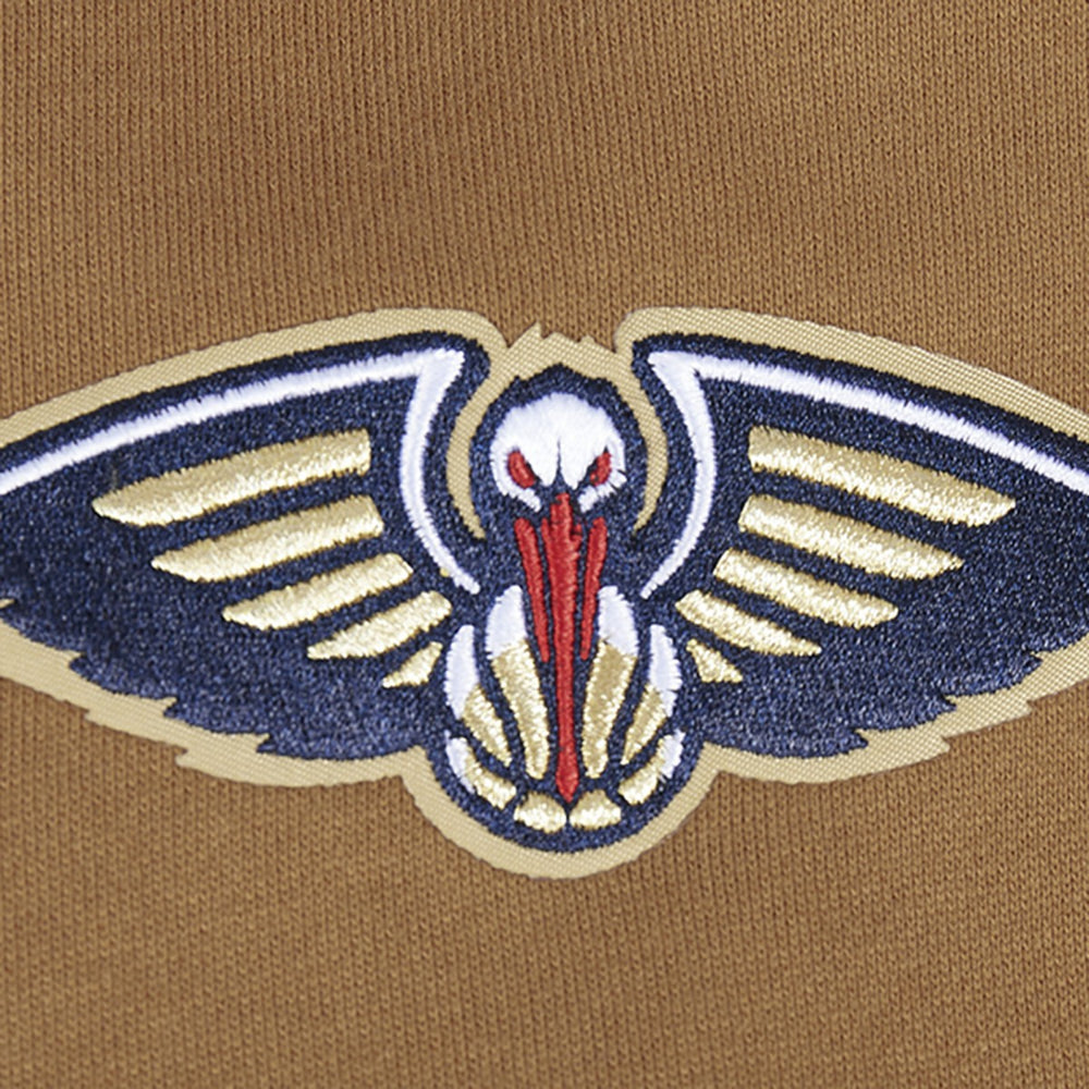NBA New Orleans Pelicans Pro Standard Paint the City Drop Shoulder Pullover Hoodie