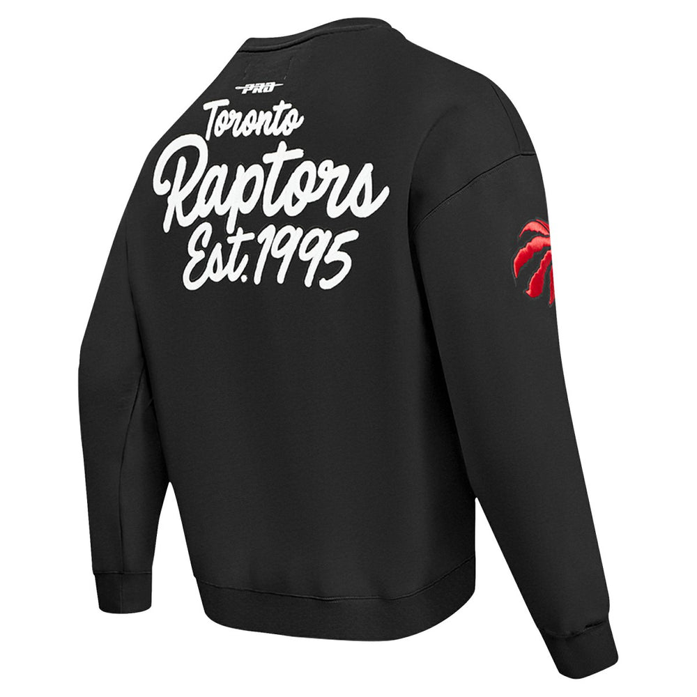 NBA Toronto Raptors Pro Standard Paint the City Drop Shoulder Sweatshirt