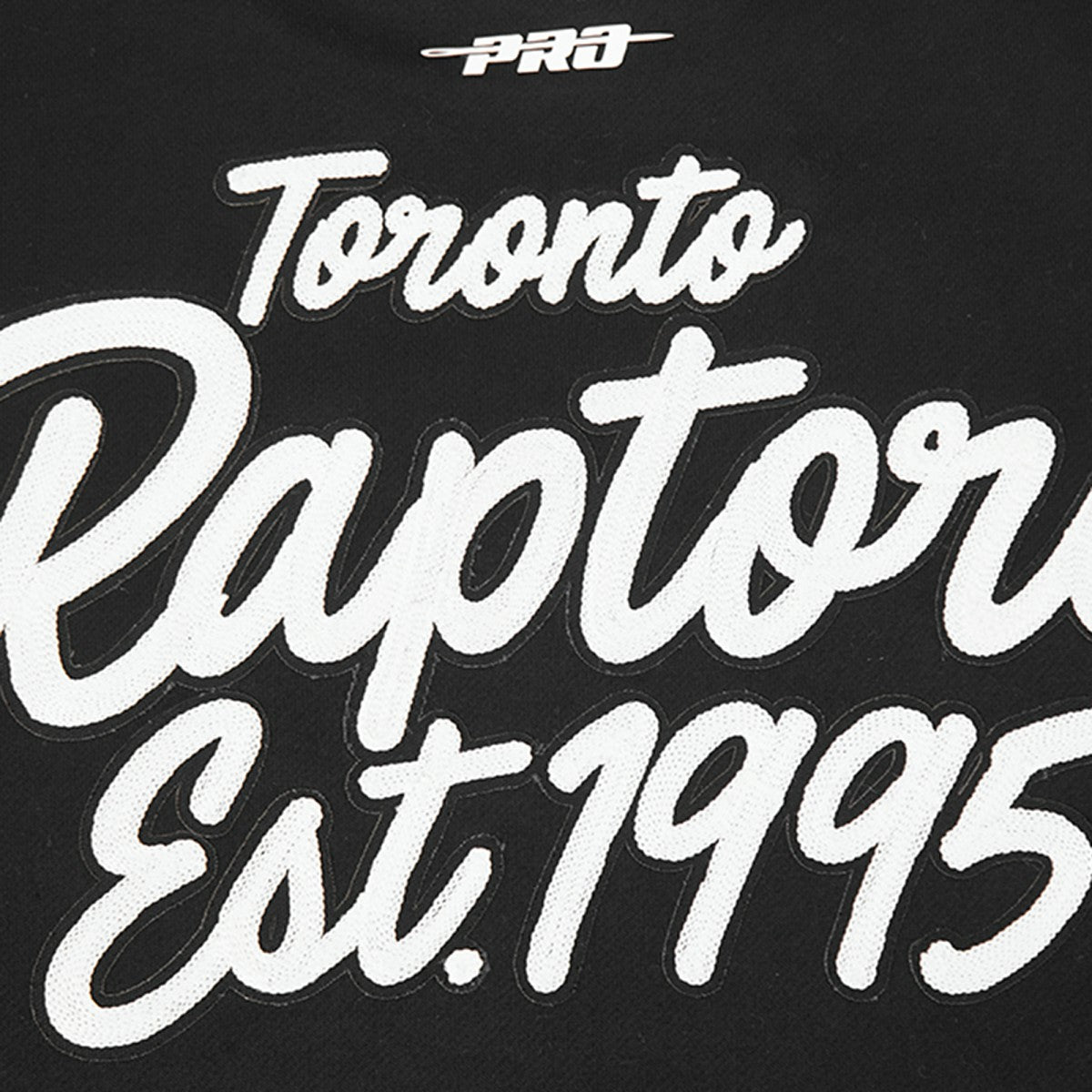 NBA Toronto Raptors Pro Standard Paint the City Drop Shoulder Sweatshirt