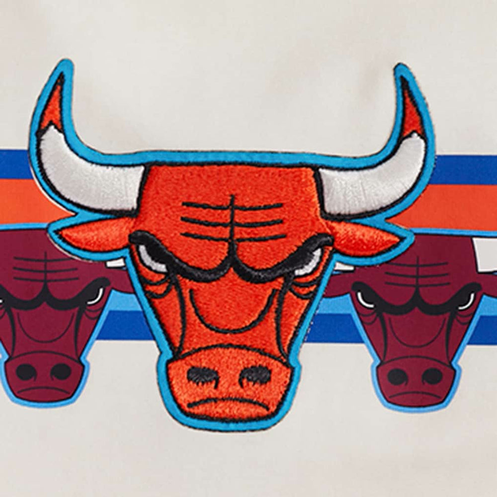 NBA Chicago Bulls Pro Standard Women's Retro Striper SJ Cropped Boxy T-Shirt sale