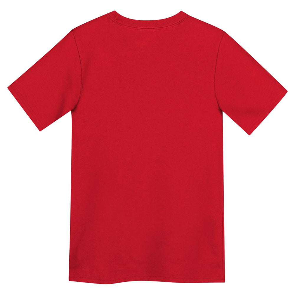 NBA Washington Wizards Jordan Brand Preschool Essential Jumpman T-Shirt