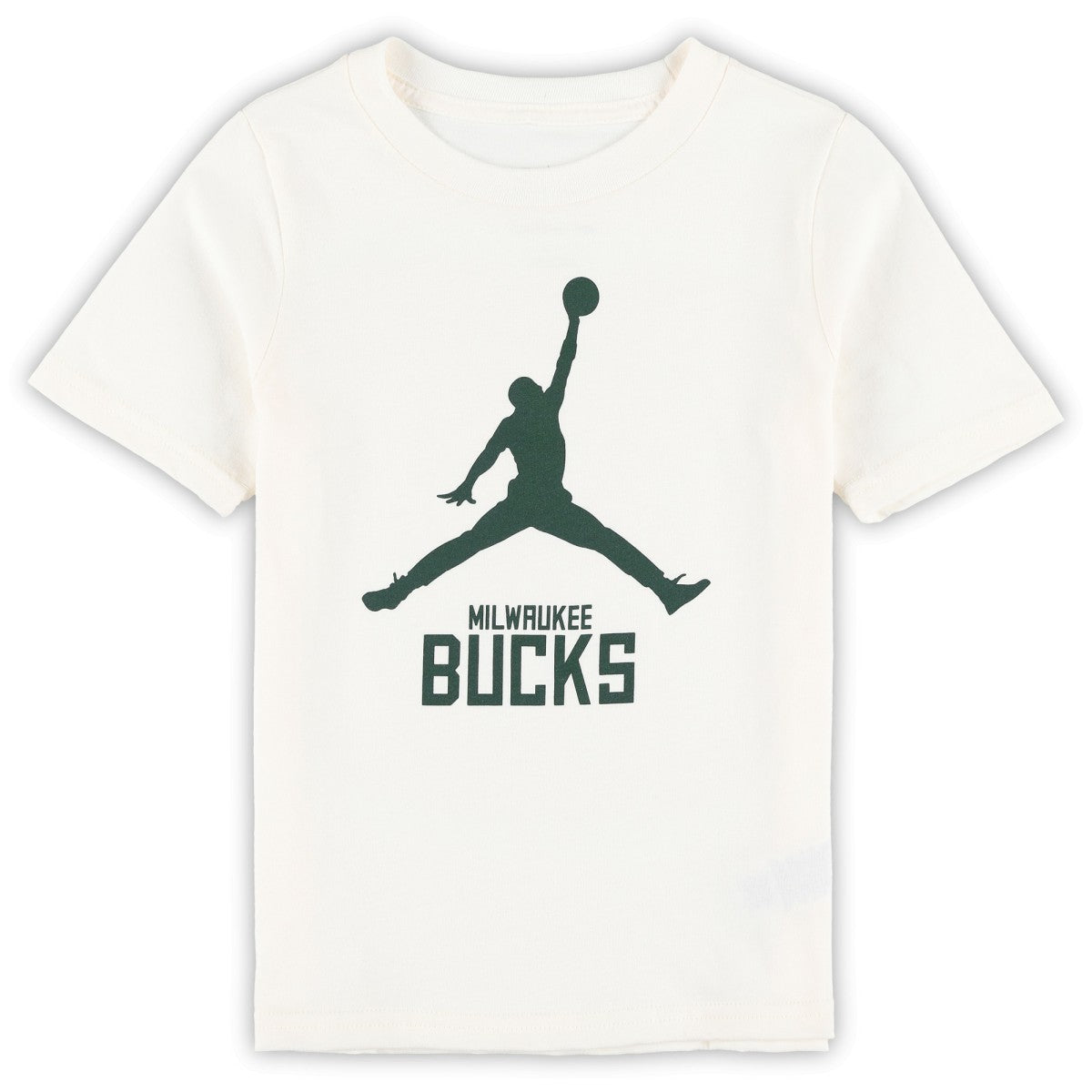 NBA Milwaukee Bucks Jordan Brand Preschool Essential Jumpman T-Shirt