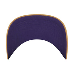 NBA Sacramento Kings '47 Barnes Hitch Adjustable Hat