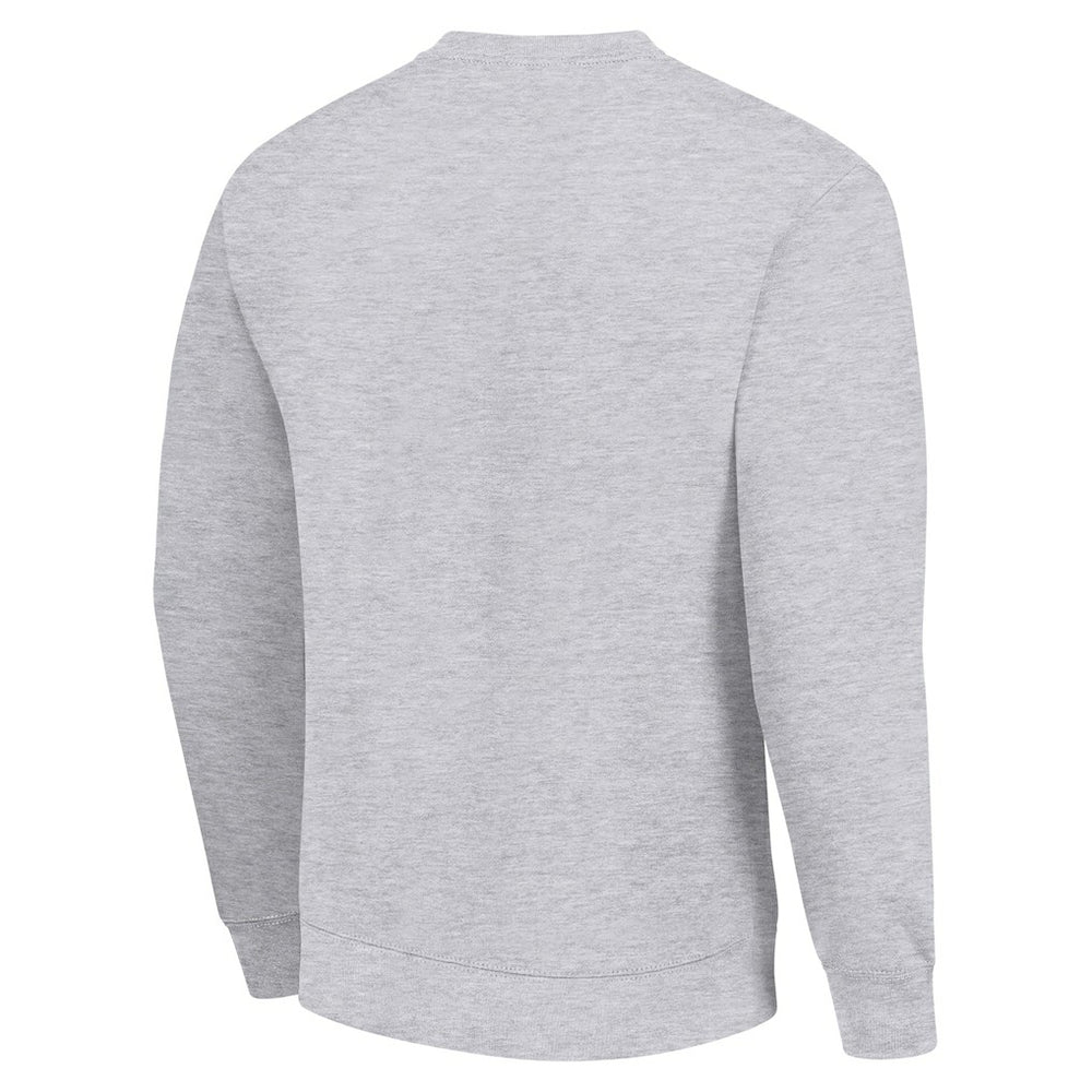 Starter Team Logo Pullover Sweatshirt - Carolina Panthers