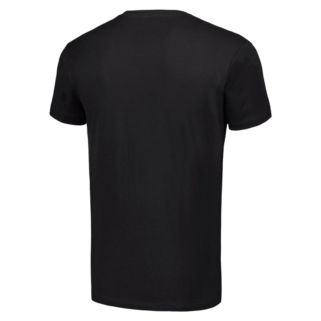 Starter Team Mesh Print Graphic T-Shirt - Detroit Lions