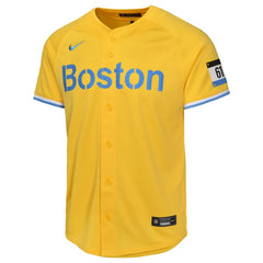 MLB David Ortiz Boston Red Sox Nike Youth City Connect Limited Player Jersey