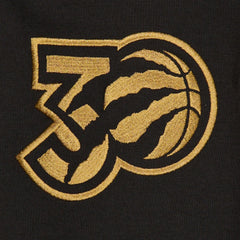 NBA Toronto Raptors 2024/25 City Edition Chenille Heavyweight Pullover Hoodie