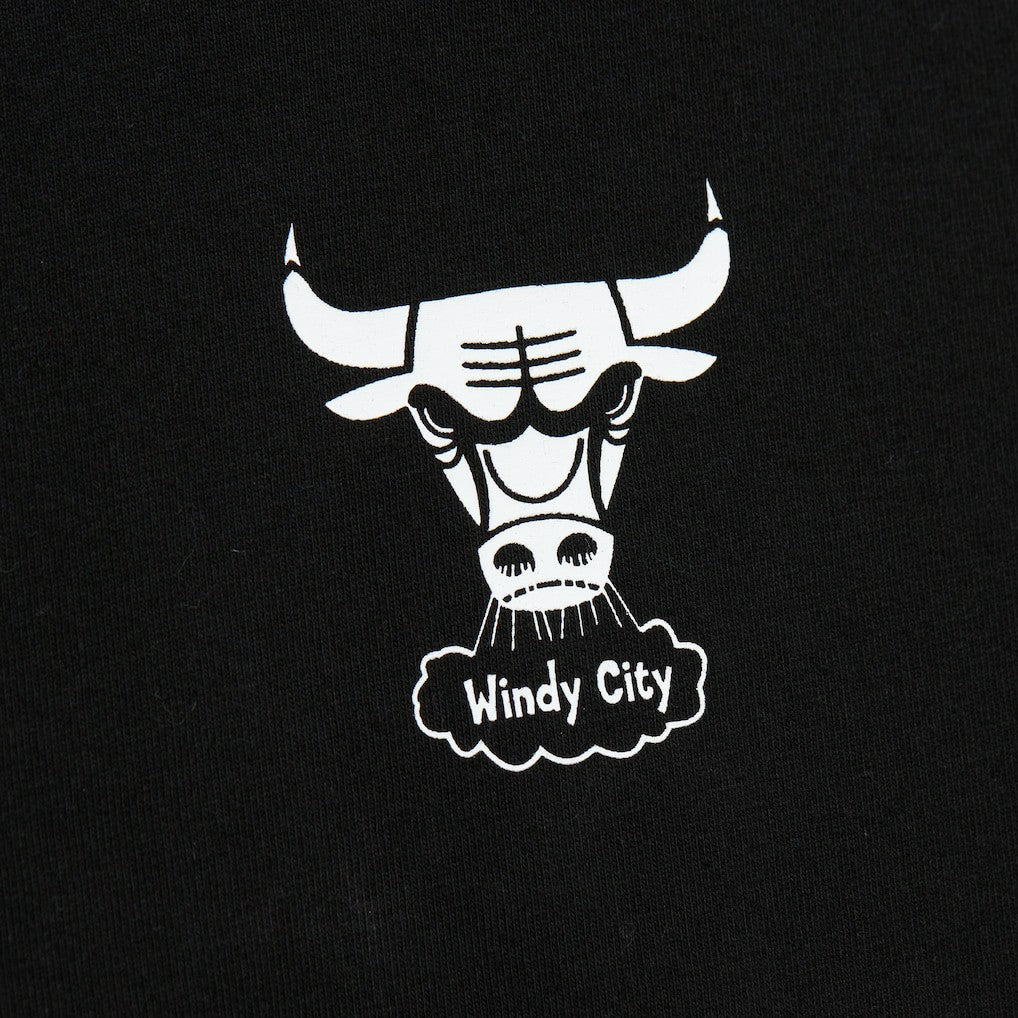NBA Chicago Bulls Hardwood Classics Contrast 2K Graphic T-Shirt sale
