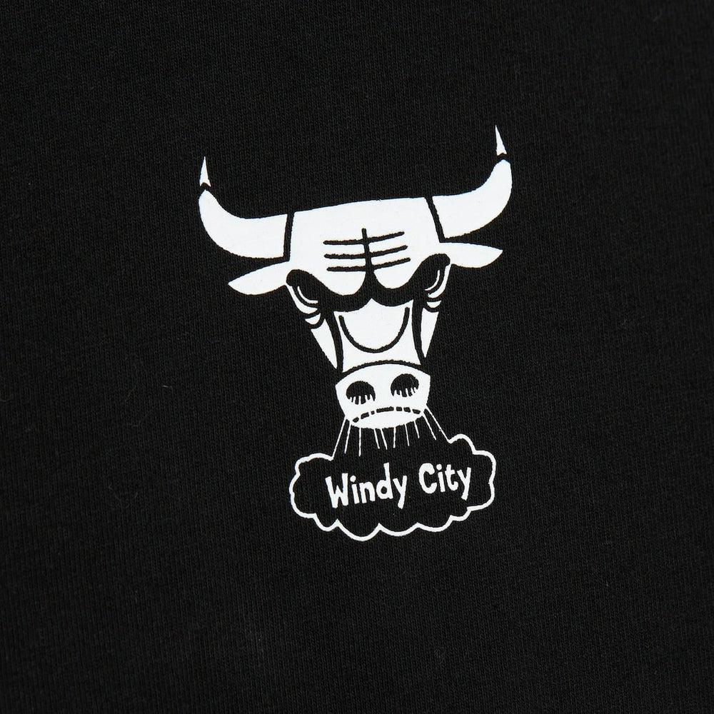 NBA Chicago Bulls Hardwood Classics Contrast 2K Graphic T-Shirt sale