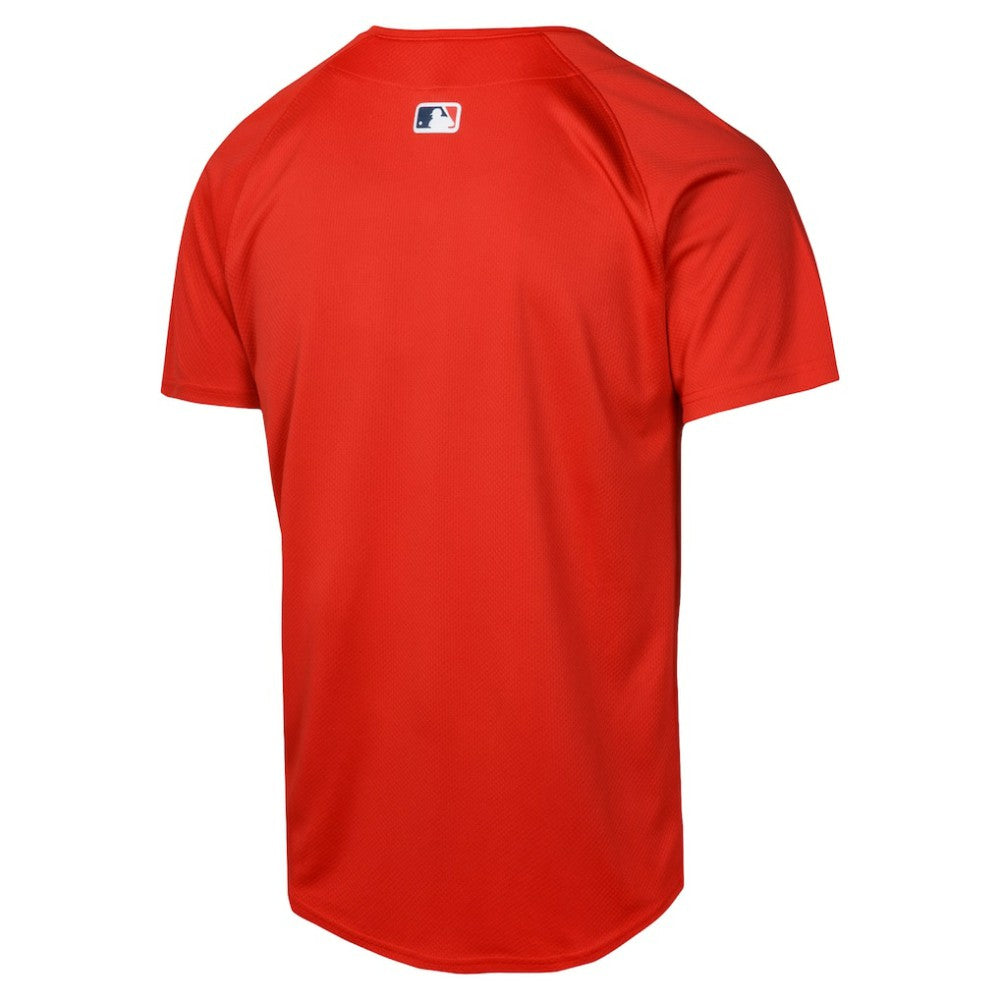 MLB Boston Red Sox Nike Youth Alternate Limited Jersey
