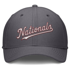 MLB Washington Nationals Nike Swoosh Performance Flex Hat